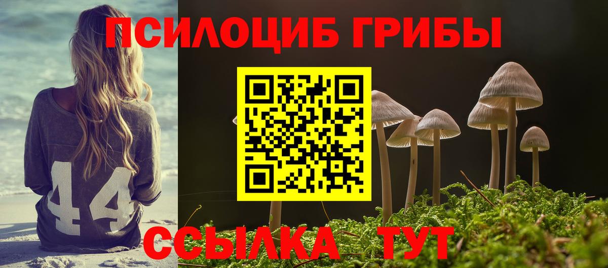 Галлюциногенные грибы прущие грибы Клинцы