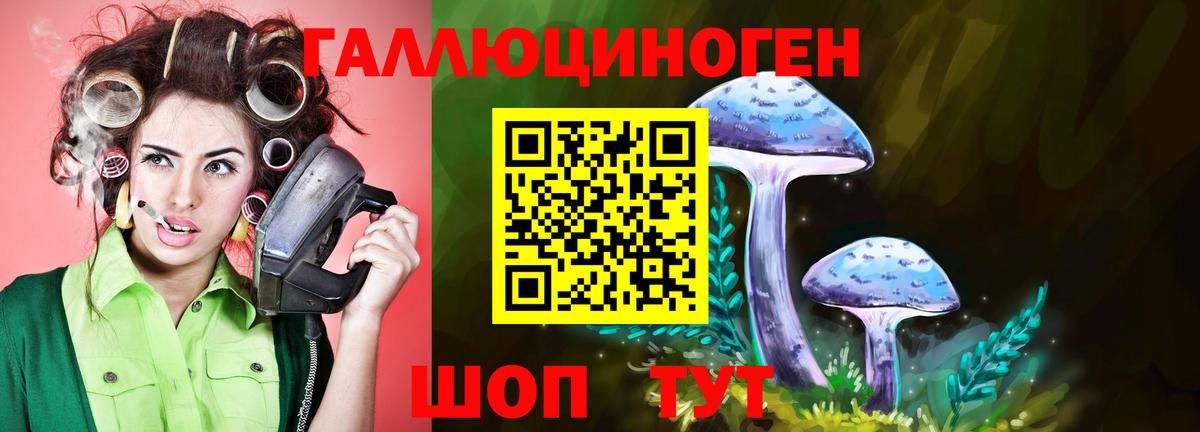 Клинцы  Галлюциногенные грибы мицелий  цены наркотик  Вход с VPN  Галлюциногенные грибы мицелий 
